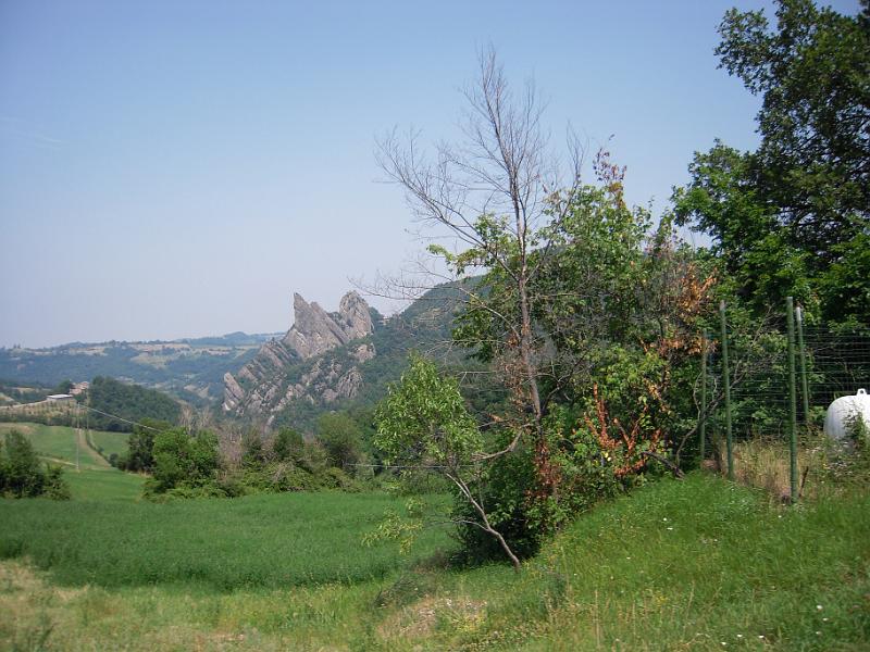 RUNEDA 2010 (15).JPG
